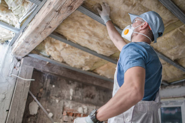 Best Energy Efficiency Insulation in Wailua, HI